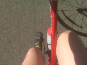 An attempt to get a photo of legs while biking.