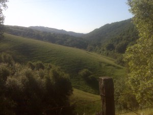 The view from the crest.