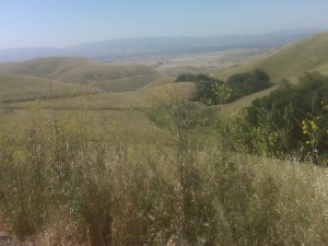 This is the view from where I was when I hit my fundraising goal!